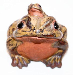 ART POTTERY FROG